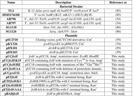 Table 2.2 The ATPase activity of purified FtsH and its variants 