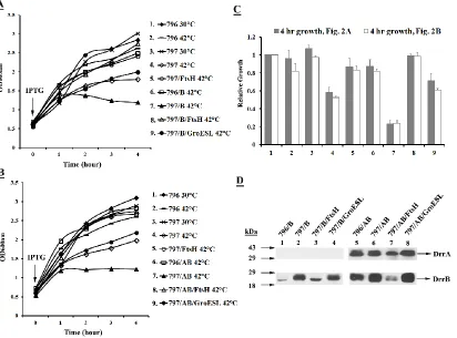 Figure 2.3 Growth inhibition resulting from expression of DrrB alone or DrrAB together in E