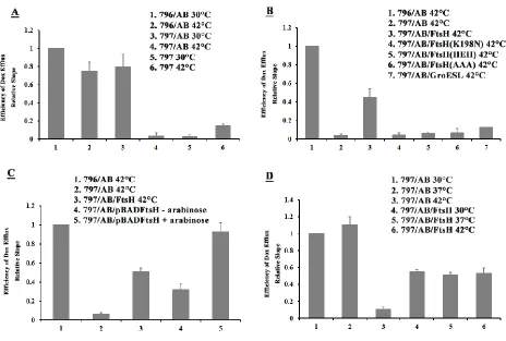 Figure 2.8 DrrAB-mediated Dox efflux. 