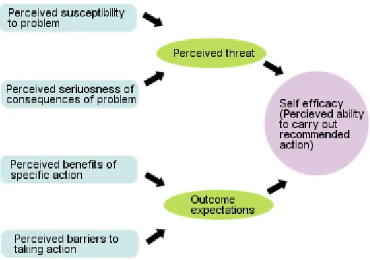 Figure 1. Health Belief Model 
