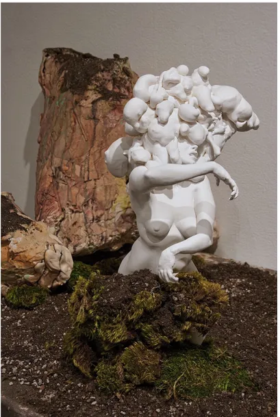 Figure 9. Ashley Maxwell. Detail of figure in N-Word Lover 