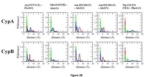 Figure 28  