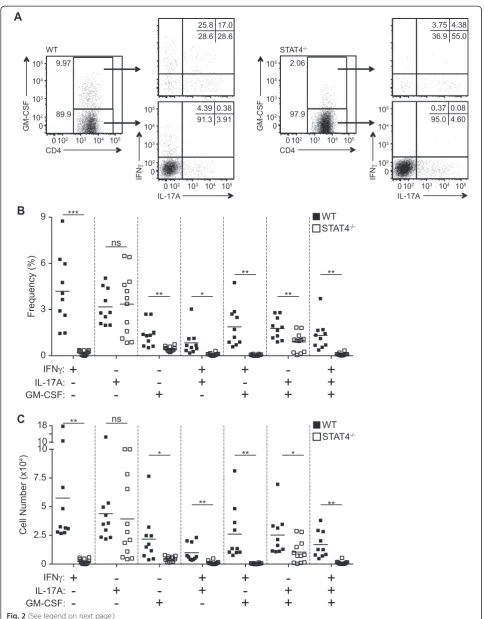 Fig. 2 (See legend on next page.)