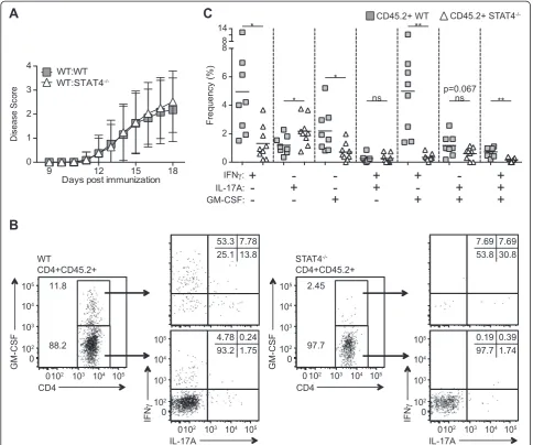 Fig. 4 CD4 T cell-intrinsic expression of STAT4 is critical for production of GM-CSF during EAE