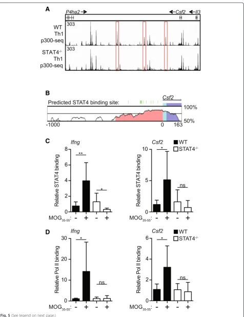 Fig. 5 (See legend on next page.)