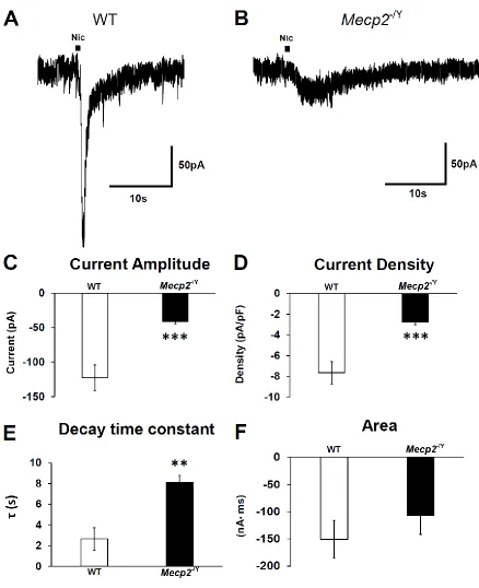 Figure 5.2 Nicotine elicited a similar current to ACh in WT and  Mecp2−/Y mice.