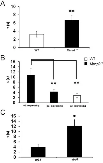 Figure 5.4 LC neurons from Mecp2−/Y mice expressing the α5 subunit had longer 