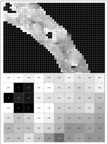 Figure 8 Enlarged image from Figure 7 (Ldegrees value are visible on the image. They exist in the right place, where the vessel has been recognised.w) with visible values of angle θ