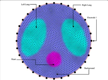 Figure 2 The two-dimensional numerical model of thoracic region. Elliptical regions are used to modelthe lungs and the circular region is used to model the heart