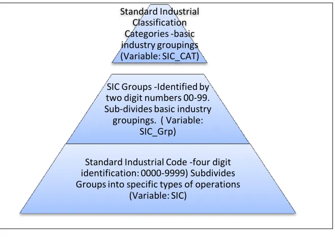 Figure 2.      SIC Organization 