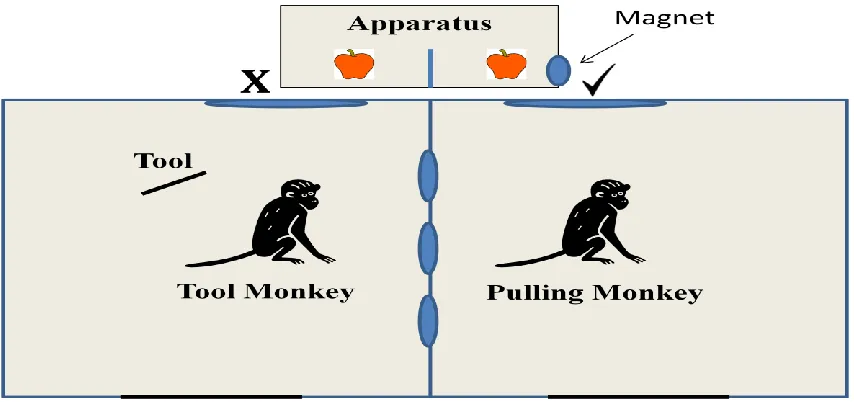 Figure 1.  Experimental Setup. The “” indicates the only place a tool can be used to pull in the 