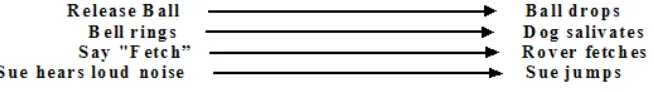 Figure 1: Dyadic Interaction 