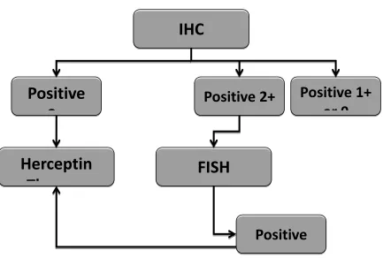 Figure 1.3 Algorithm for Herceptin use 