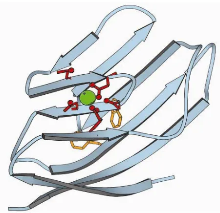 Figure 1.12 Model structure of ProCA1-CD2 