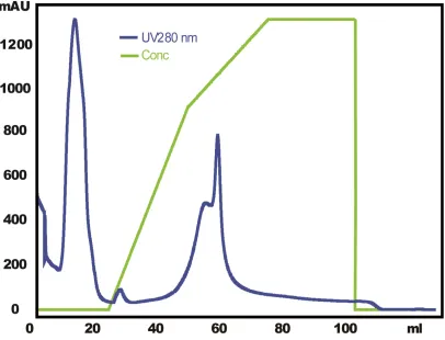 Figure 3.6 Purification of PEGylated ProCA1-affi342 with cation exchange column 