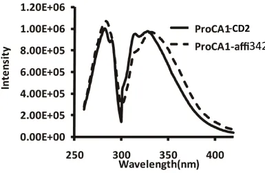 Figure 3.9 Tryptophan Fluorescence measurement.  