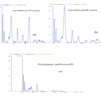 Figure 4. FPLC analysis showing the retention time of dAMP and dATP eluted from anion   