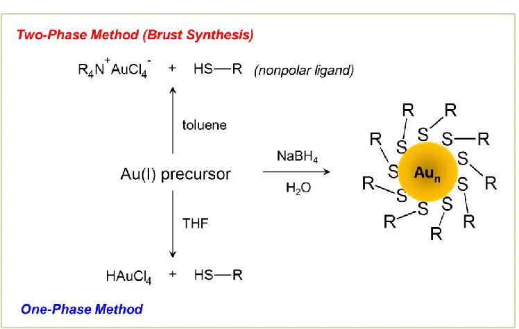 Figure 3.   Diagram for the synthesis of AuMPCs, one-phase and two-phase approaches.  