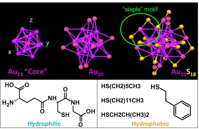 Figure 4.   Crystal structure of Au25(SR)18 [image taken without permission from ref. 41]