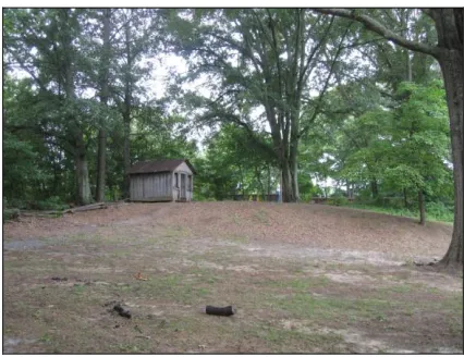 Figure 5.5: Area 3; located at the top of  the hill, in front of the shack 