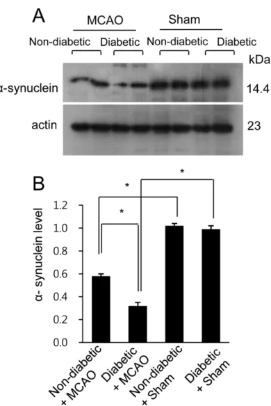 Figure 2. A proteomic analysis of molecular weight and isoelectrical point, respectively