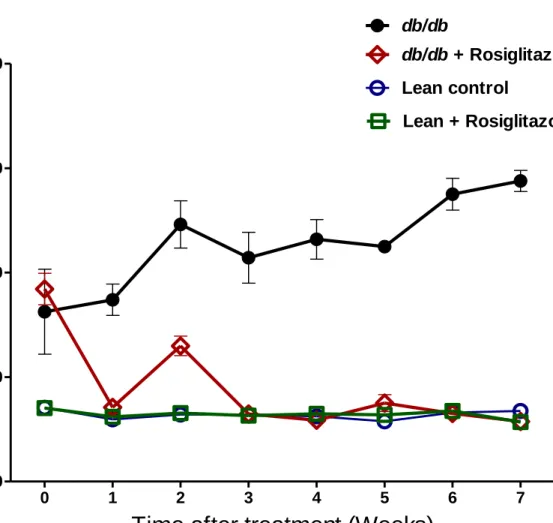 Figure 1:  Blood glucose levels in lean control mice (n=7), lean + rosiglitazone mice (n=7),  db/db mice (n=6), db/db + rosiglitazone mice (n=8) at 0-7 weeks during rosiglitazone treatment