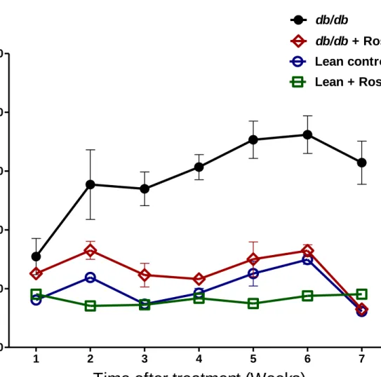 Figure 4: Water intake measurement in lean control mice (n=7), lean + rosiglitazone mice (n=7),  db/db mice (n=6), db/db + rosiglitazone mice (n=8) at 1-7 weeks during rosiglitazone treatment