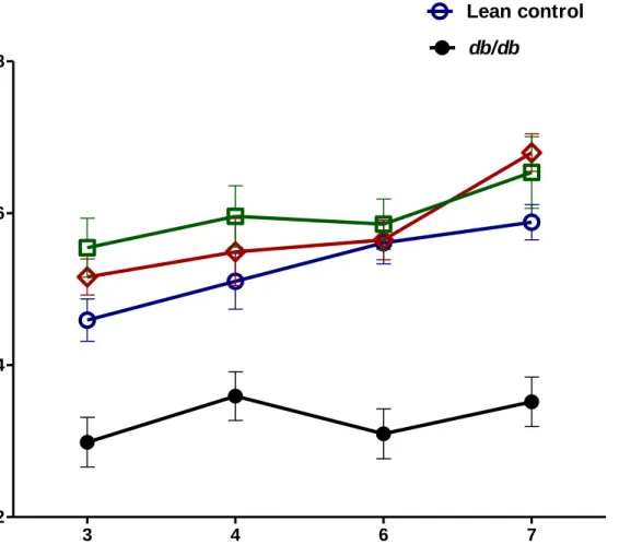 Figure 7: Total body water measurement in lean control mice (n=7), lean + rosiglitazone mice  (n=7), db/db mice (n=6), db/db + rosiglitazone mice (n=8) at 3-7 weeks during rosiglitazone  treatment