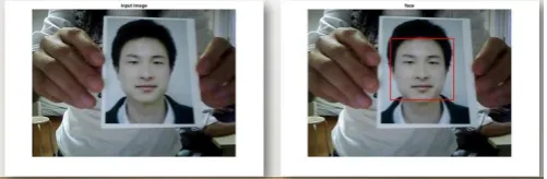 Fig. 16. Sample for spoof image. 