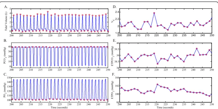Figure 1 Lamb experiment: example waveforms and derived time seriesexamples of tidal volume,POare marked with an open circle in panel A