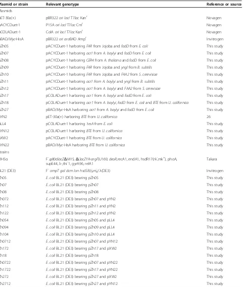 Table 1 Bacterial strains and plasmids used in this study