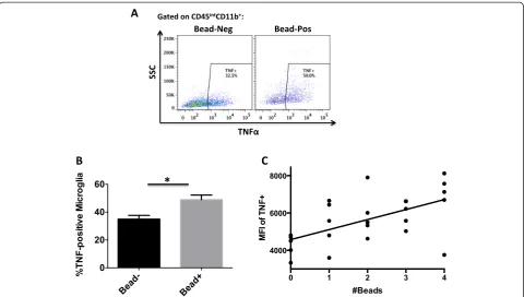 Fig. 5 Relationship between TNF production and phagocytic activity of microglia after stroke
