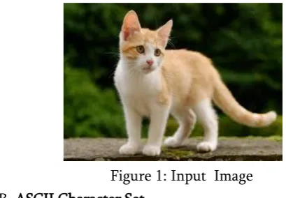 Figure 1: Input  Image 