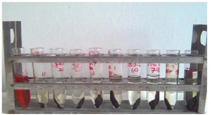 Figure 3. Dye stuff removal 