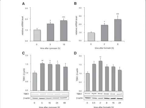 Fig. 2 TBK1 regulation in the spinal cord after peripheral inflammatory stimulation. Time course of the TBK1 mRNA and protein expression in thelumbar spinal cord after peripheral injection of zymosan A (a, c) and formalin (b, d), respectively (n = 4 mice/g