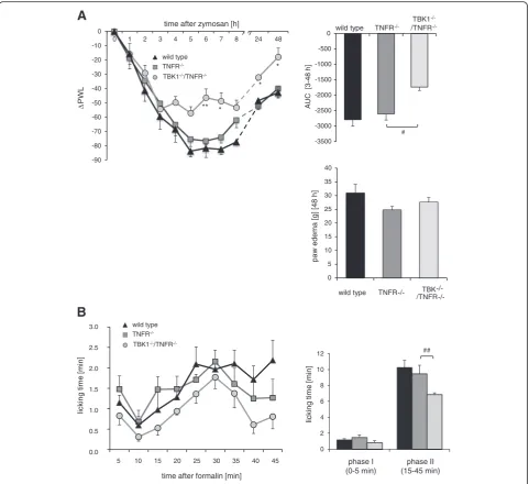 Fig. 3 Inflammatory hyperalgesia in TNFRAesthesiometer (panel: comparison of the area under the paw withdrawal latency versus time curve between wild type (black column), TNFR−/− and TBK1−/−/TNFR−/− mice