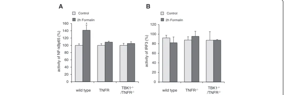 Fig. 4 Regulation of NF-κB and IRF3 activation in the spinal cord. a p65 and b IRF3 transcription factor activity as assessed by TransAM transcriptionfactor ELISA