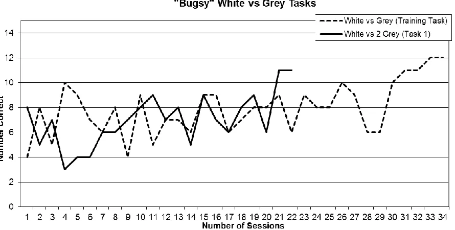 Figure 2 – Number of sessions to reach criterion by “Bugsy” for the training task (white versus 1 grey) and Task 1 (white versus 2 grey)