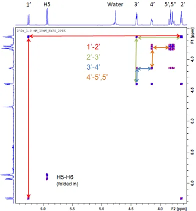 Figure 3.1 COSY spectrum of 2'-methylseleno-uridine, compound 6. Assignment pathways are colored