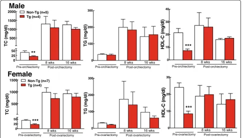 Fig. 4 Plasma lipids TC, TG and HDL-C of male Tg and non-Tg rabbits that were injected intramuscularly with 17β-ethinyl estradiol at a dose of100 μg/ kg/day for 10 days