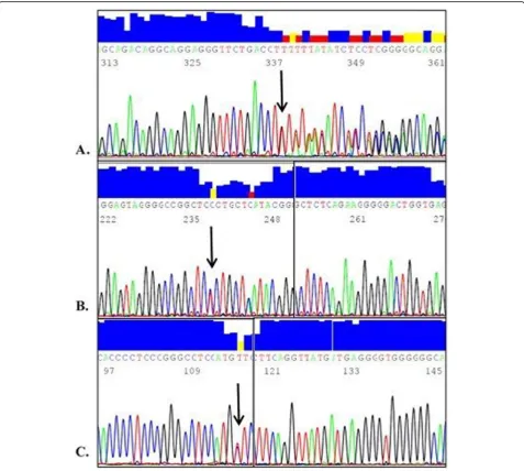 Fig. 2 Parts of the APOC3 reverse sequence electropherograms showing the three identified novel SNPs