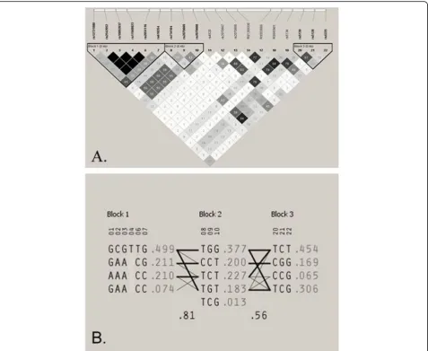 Fig. 5 Linkage disequilibrium structure and haplotypic architecture in APOC3.gene locus