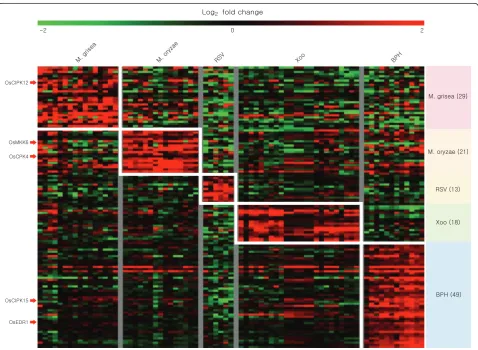 Fig. 2 Heatmap analysis of expression patterns for kinase genes related to biotic-stress responses
