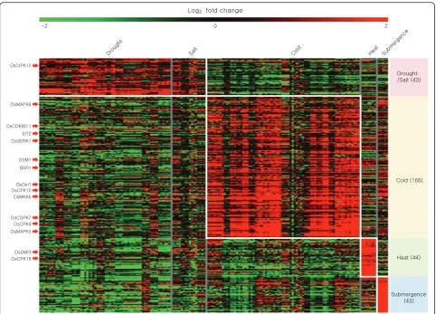Fig. 3 Heatmap analysis of kinase genes related to abiotic-stress responses. Abiotic stress responsive kinase genes heatmap is generated usinglog2-transformed fold change values under four stress conditions
