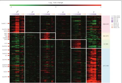 Fig. 4 Heatmap analysis of expression patterns for kinase genes in response to hormone treatments