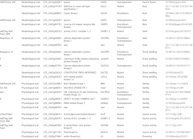 Table 1 Functional information for kinase genes with known functions (Continued)