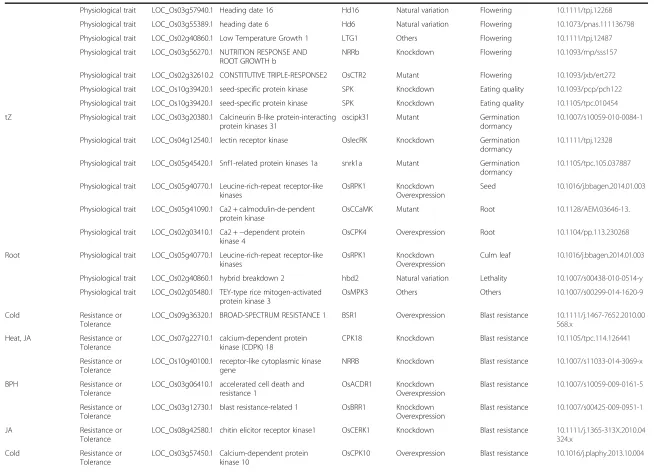 Table 1 Functional information for kinase genes with known functions (Continued)