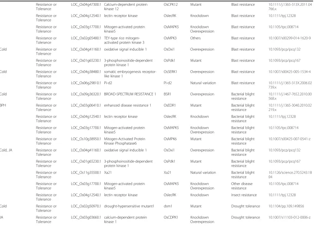 Table 1 Functional information for kinase genes with known functions (Continued)