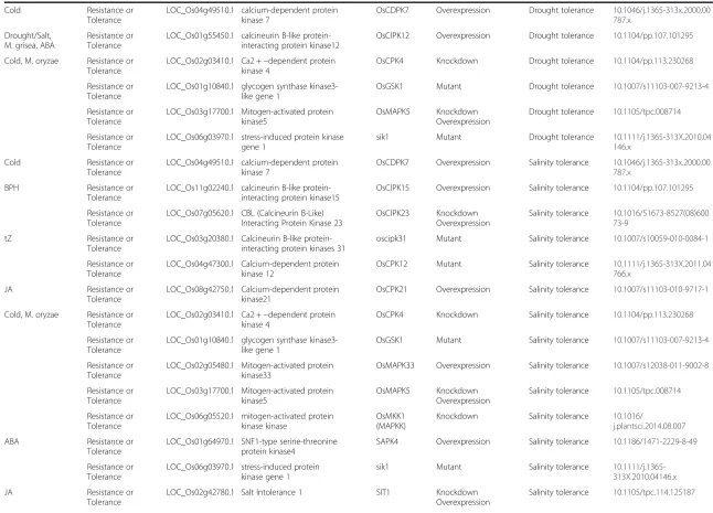 Table 1 Functional information for kinase genes with known functions (Continued)