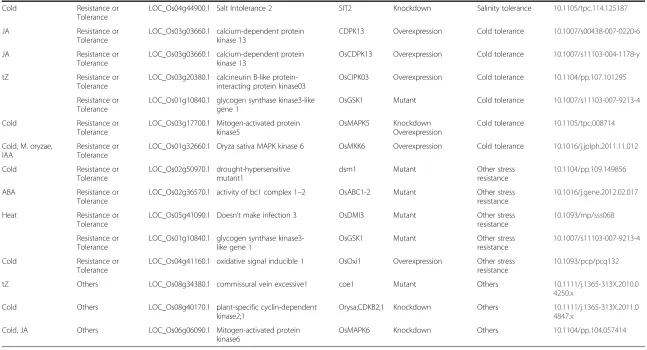 Table 1 Functional information for kinase genes with known functions (Continued)